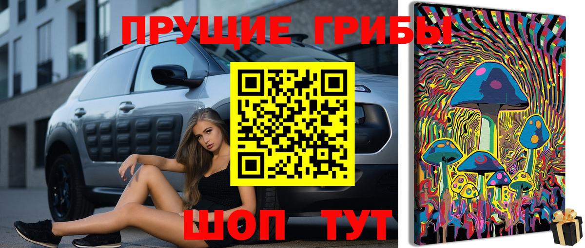 Псилоцибиновые грибы MAGIC MUSHROOMS  купить наркоту  Богородск  Вход с VPN 